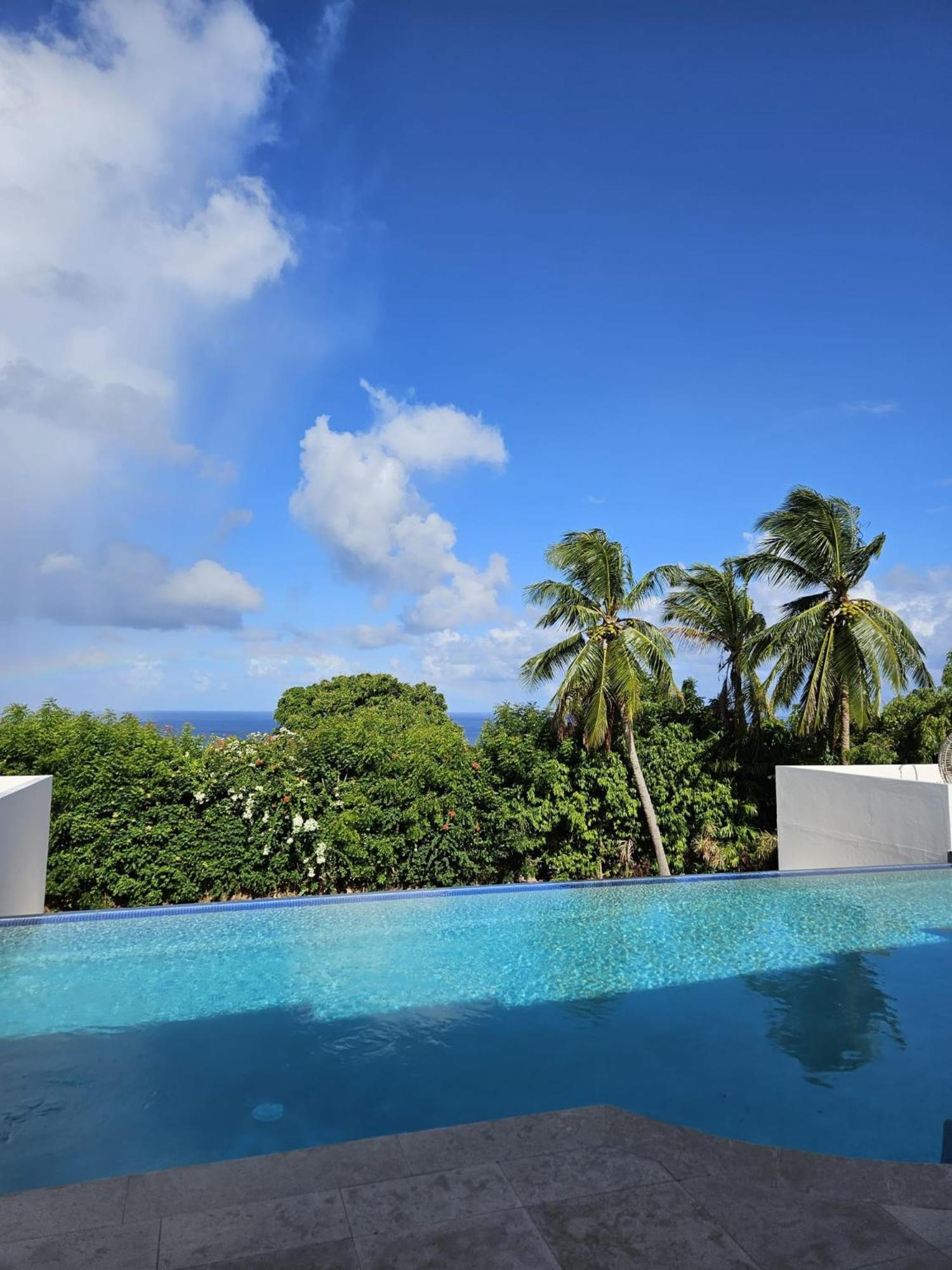 Purple Haze - Infinity Pool Holiday Home Minutes From The Island'S Best Beaches Saint James Exterior photo